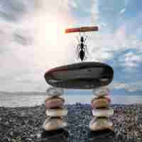 高​级​SSL证‌书​工‌具﻿